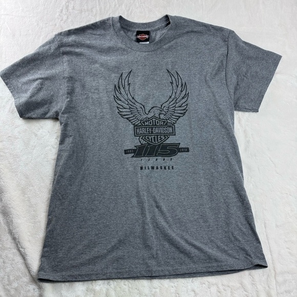 Harley-Davidson Tee Shirt Gray Large Unisex 115 years Anniversary - Picture 1 of 11